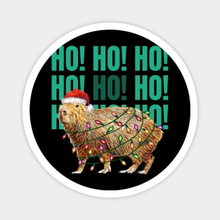 Capybara  HO HO HO ! and christmas lights, Capybara Pets, Cute capybara Magnet